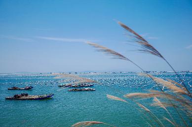 【潮汕南澳島美食動車三天】<韓文公祠→宋代潮州古城 潮州古城燈光秀 非遺英歌舞 南澳大橋 北回歸線>